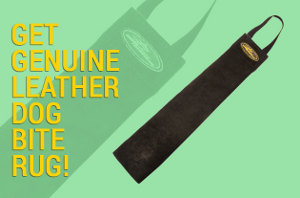 Leather Bite Tug