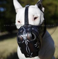 Leather Bull Terrier Muzzle Hand Painted with Barbwire Ornament