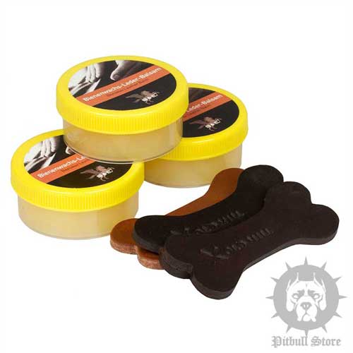 Leather Dog Collar Care