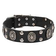 Chic Leather Dog Collar "Viking" Studs Oval Plates for Amstaff