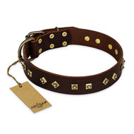 Leather Dog Collar for Pitbull "Fashion Studs" FDT Artisan
