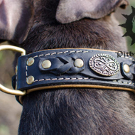 Bestseller! Luxury Dog Collar Nappa Padded and Decorated