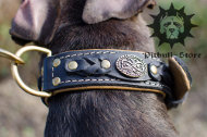 Staffy collars UK