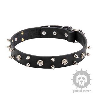 "Yo-ho-ho" Pitbull Dog Collar with Skulls