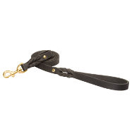 Leather Dog Leash with Braided Elements for Pitbull and Staffy