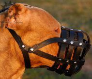 Leather Dog Muzzle UK