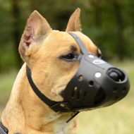 Leather Dog Muzzle for Daily Usage, Pitbull Comfort and Safety