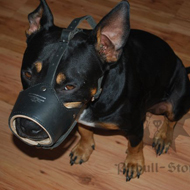 Leather Dog Muzzle Care Dog Muzzle Care
