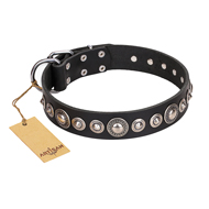 "Strict Elegance" FDT Artisan Luxury Pet Collar with Shiny Studs