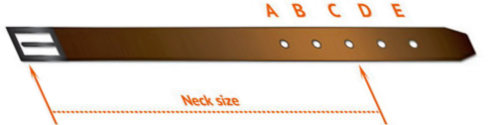 how to size dog collar