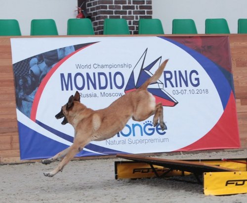 Mondioring World Championship 2018
