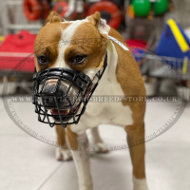 All-Weather Muzzle for American Staffordshire Terrier