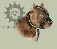 Pit Bull Nappa padded Royal Leather Dog Muzzle, best muzzle UK