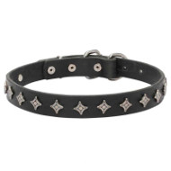 Narrow Dog Collar with Stars for Stylish Pitbull