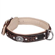 New Padded Stylish Dog Collar of Chic Design