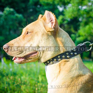 Stylish Dog Collar with 3 Rows of Conic Frustrums Studs