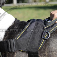 Bestseller! Nylon Dog Harness for English Bull Terrier