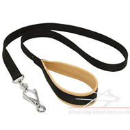 Nylon Dog Leash with Leather Padding on the Handle
for Pitbull