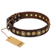 "Ancient Warrior" FDT Artisan Brass Studded Perfect Dog Collar