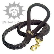 Black Handmade Braided Leather Dog Lead