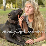 Dog Communication Dog
Calming Signals