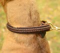 Pitbull Dog Collar braided of Italian
        Leather