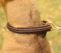 Pitbull Dog Collar braided of Italian
        Leather