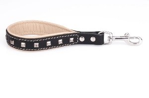 Pitbull Dog Collars and Leashes