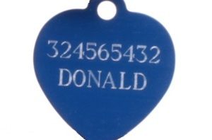 Pitbull ID Tag