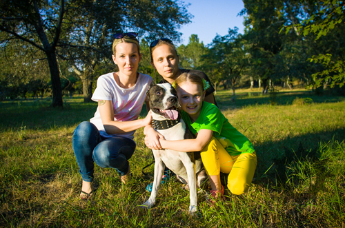 Pitbull and Family