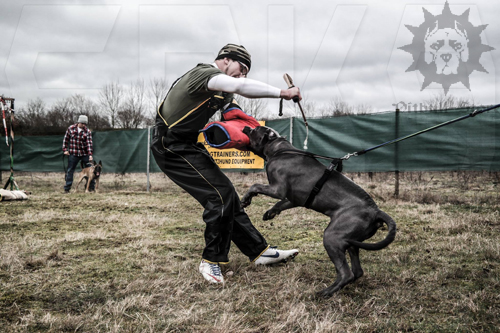 Agitation Dog Whip