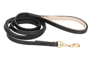 Pitbull Leash and Collars