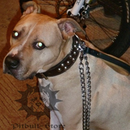Chain Leash for Pitbull Walking with Leather Handle!