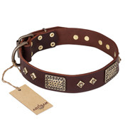 Pitbull Leather Collar "Loving Owner" FDT Artisan