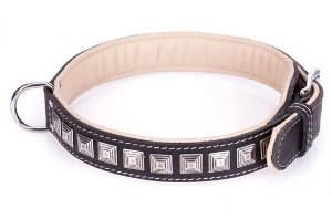 Pitbull Leather Dog Collar