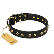 Pitbull Leather Dog Collar "Rhomb Style" FDT Artisan
