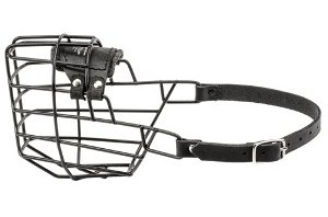 Pitbull Muzzle UK