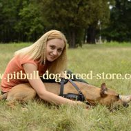 Dog Bending and Jumping Dog
Bending Signals