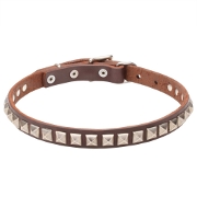 Narrow Pretty Dog Collar for Elegant Staffy and Pitbull