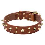 Rockstar Dog Collar, Leather with Brass Spikes and Skulls