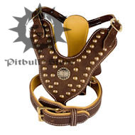Nappa
Padded Designer Dog Harness & Collar Set