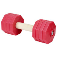 IGP Dumbbell 2 Kg with 8 Red Plastic Plates