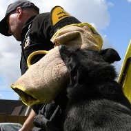 IGP Sleeve and Jute Cover for Staffy Training, IGP Choice