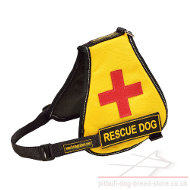 Service Dog Vest for Pitbull with Identification Patches