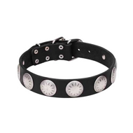 Cool Shiny Dog Collar with Large Engraved Stars