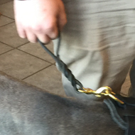 Dog Control Lead of Braided Design with Floating O-ring