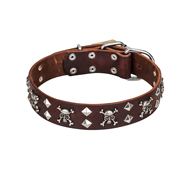 FDT Artisan Rock 'n' Roll Style Skull and  Crossbones Dog Collar