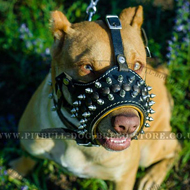 Leather Dog
Muzzle with Spikes Pitbull in SPiked Dog Muzzle