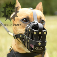 soft muzzle for staffy