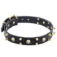 "Rock Star" Spiked Dog Collar with Skulls